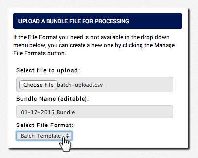 select a file format for the AGMS Gateway batch upload spreadsheet