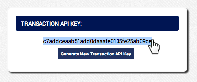Copy the Transaction API Key and use where applicable